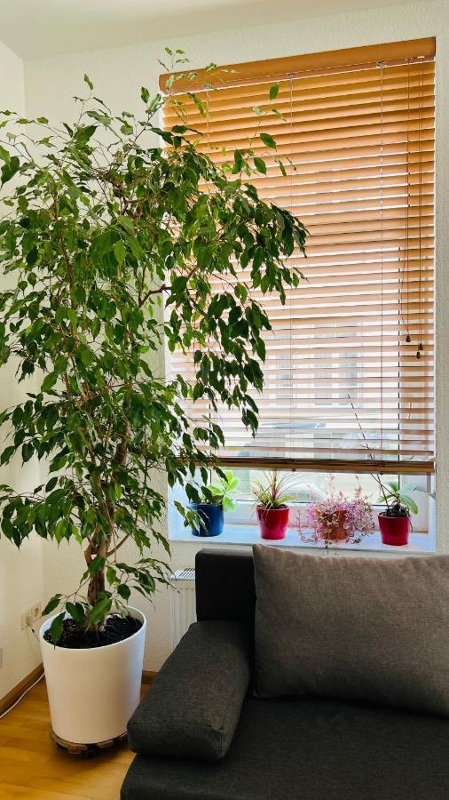 Grosses Und Helles Innenstadt Apartment - Ferienwohnung Бад-Хомбург-фор-дер-Хёэ Экстерьер фото